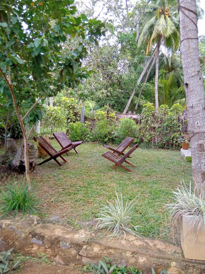 Coconut Island Yala Safari Place Tissamaharama Exterior foto