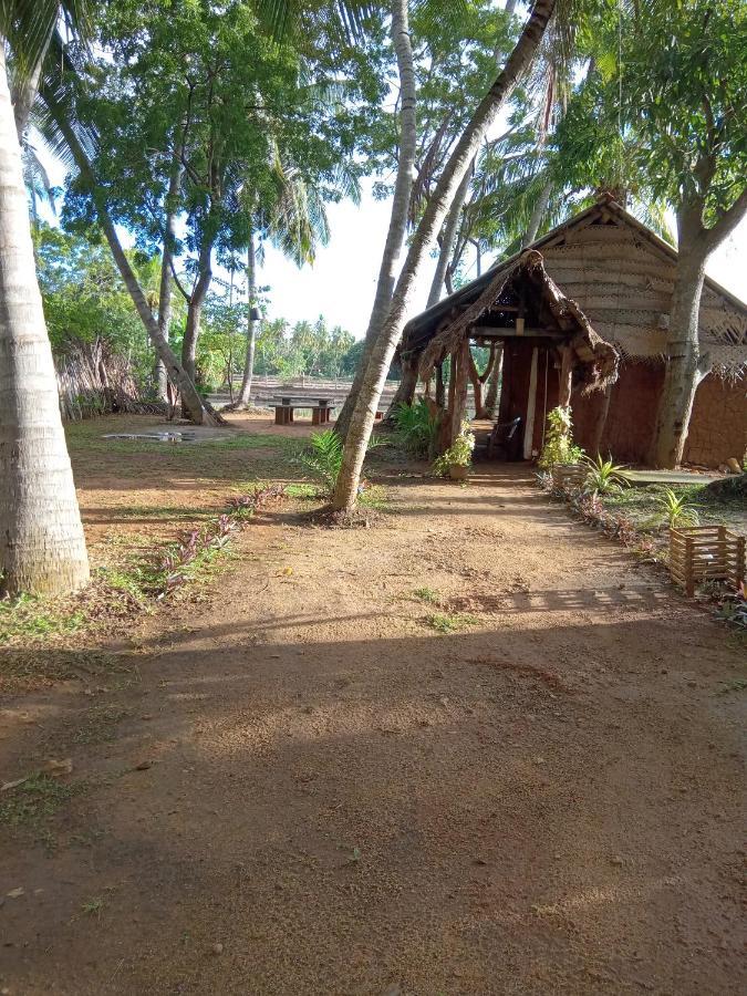 Coconut Island Yala Safari Place Tissamaharama Exterior foto