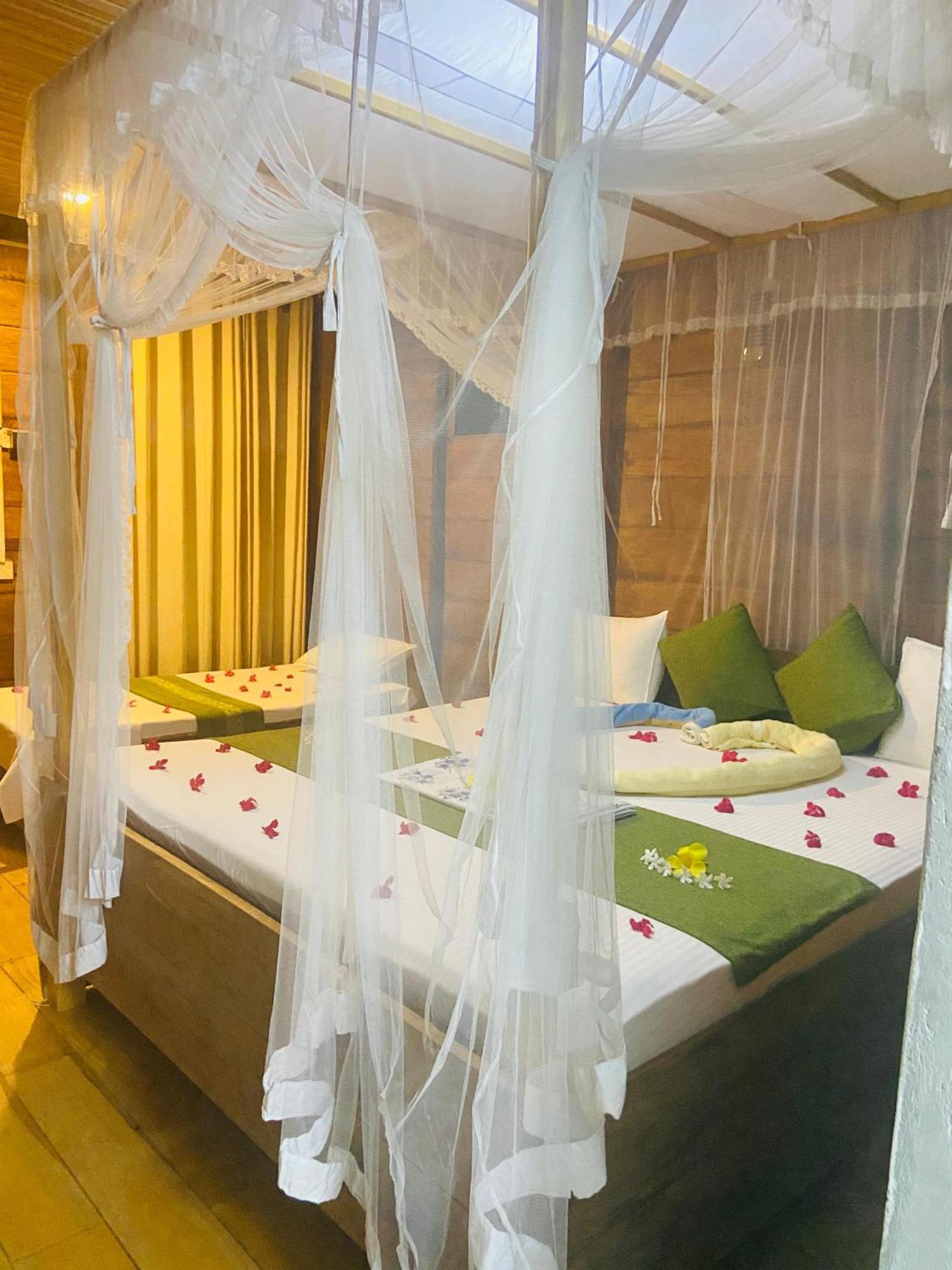 Coconut Island Yala Safari Place Tissamaharama Exterior foto