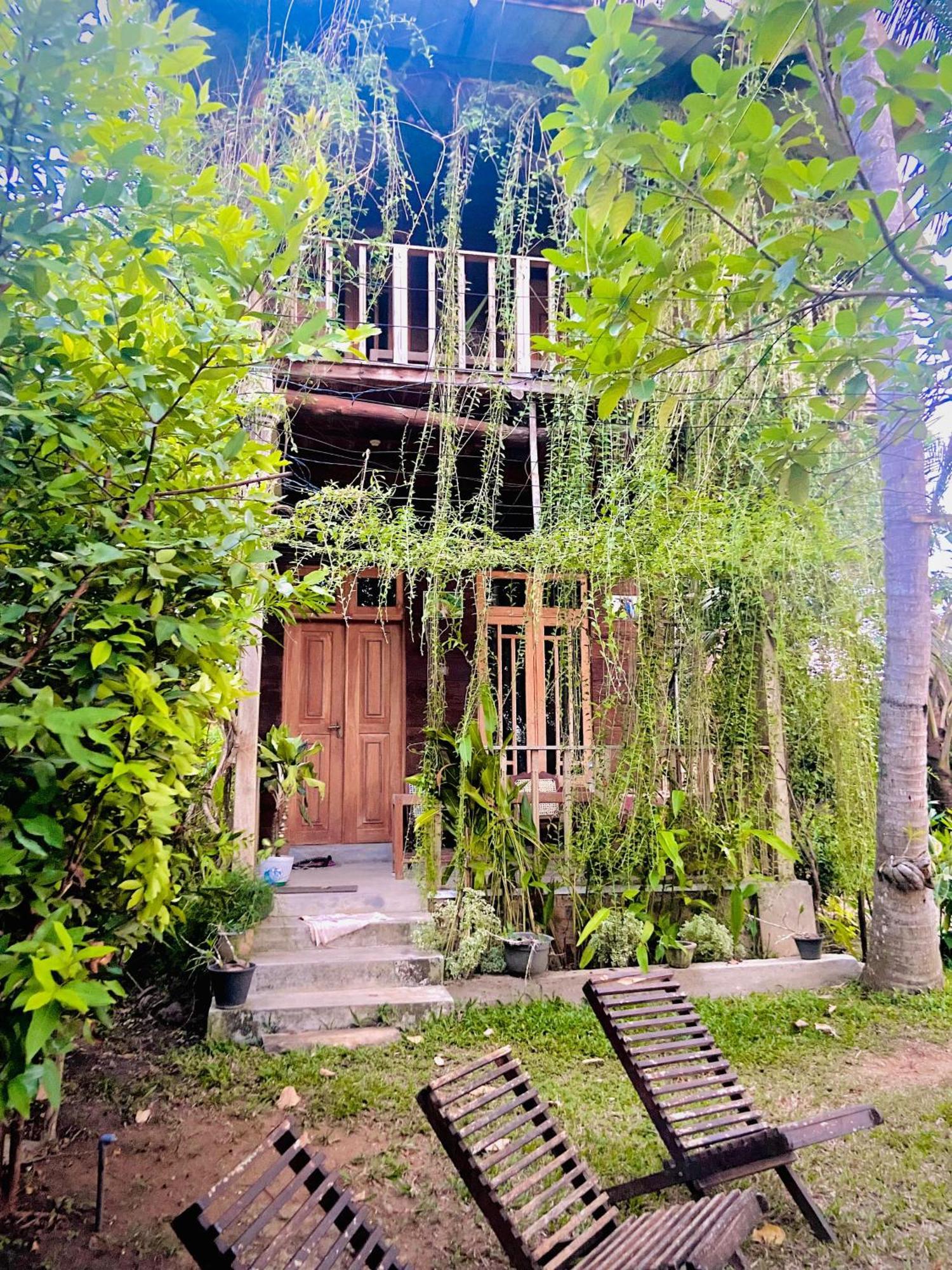 Coconut Island Yala Safari Place Tissamaharama Exterior foto