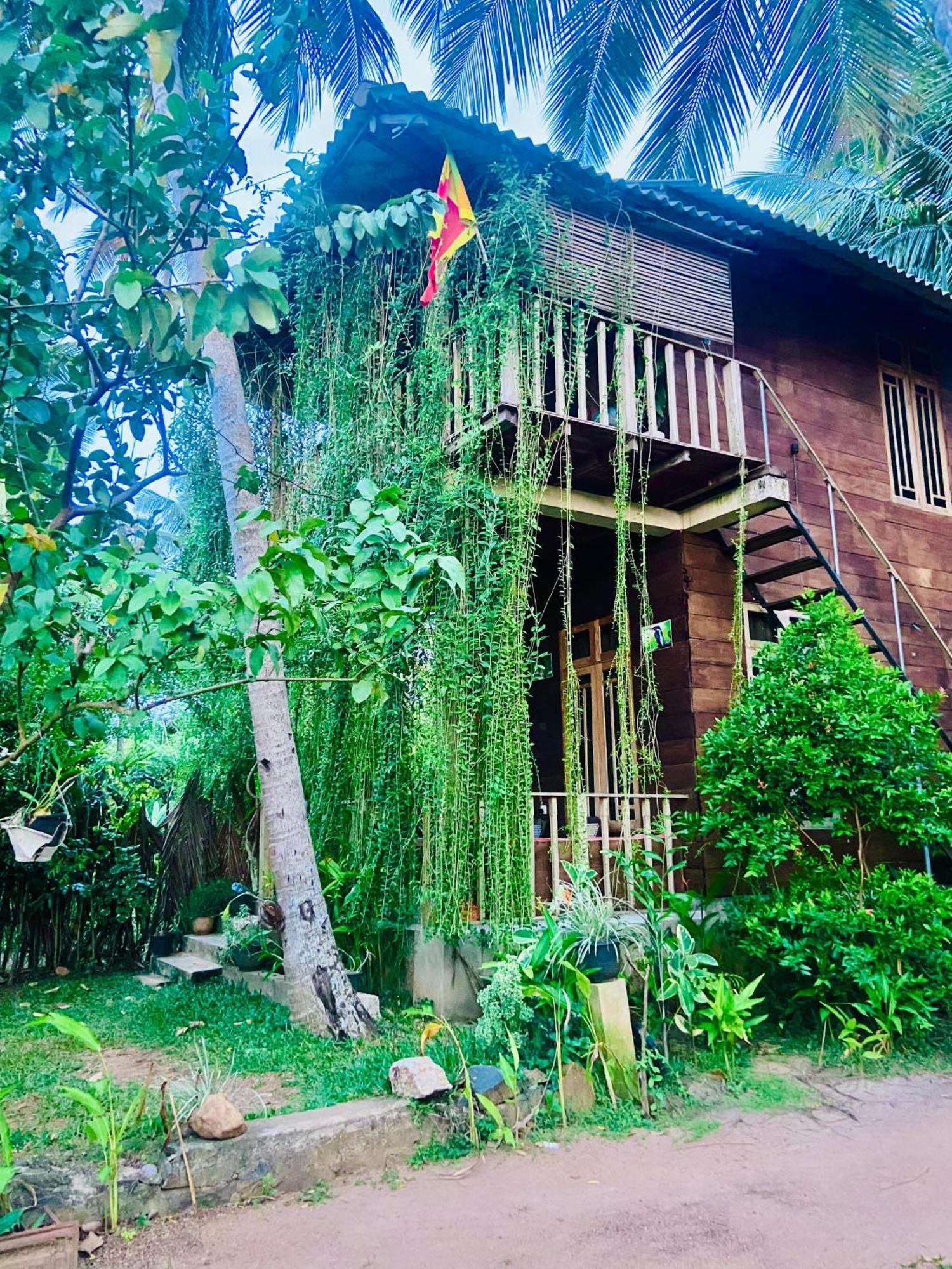 Coconut Island Yala Safari Place Tissamaharama Exterior foto