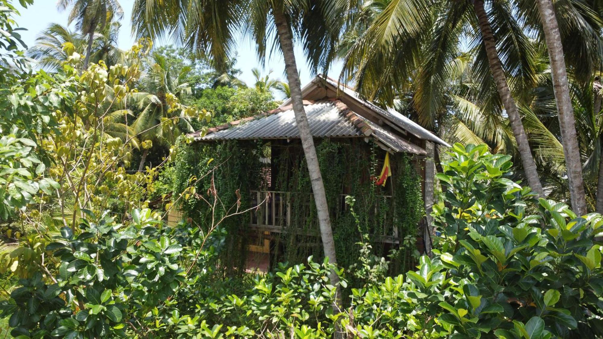 Coconut Island Yala Safari Place Tissamaharama Exterior foto